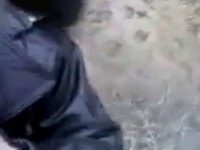 ����� �� �������� ������� �� ������ �������